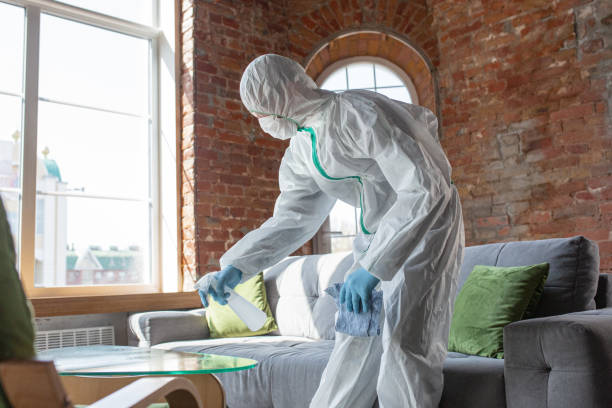 Best Biohazard Mold Removal in Austintown, OH