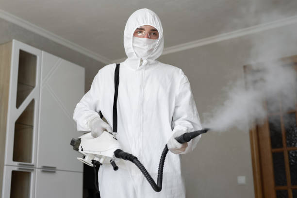 Best Air Quality Testing for Mold Spores in Austintown, OH