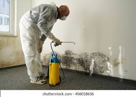 Best Residential Mold Inspection & Testing in Austintown, OH